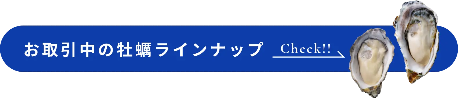 お取引中の牡蠣ラインナップ