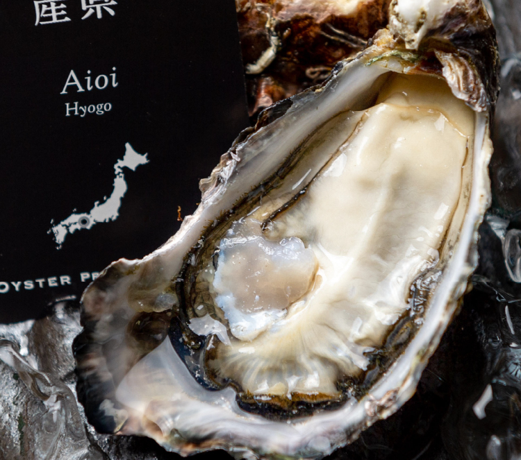 兵庫県相生産真牡蠣「相生の恵」