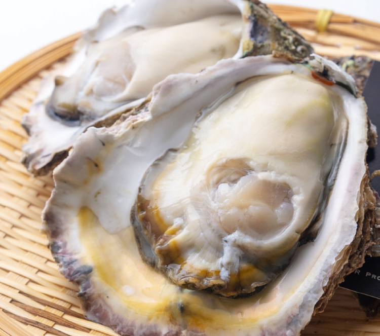 石川県輪島産天然岩牡蠣
