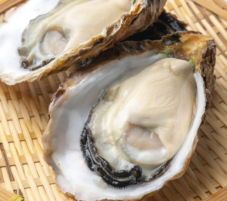 三重県的矢湾産岩牡蠣
